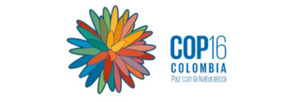 otro-logo-300x169